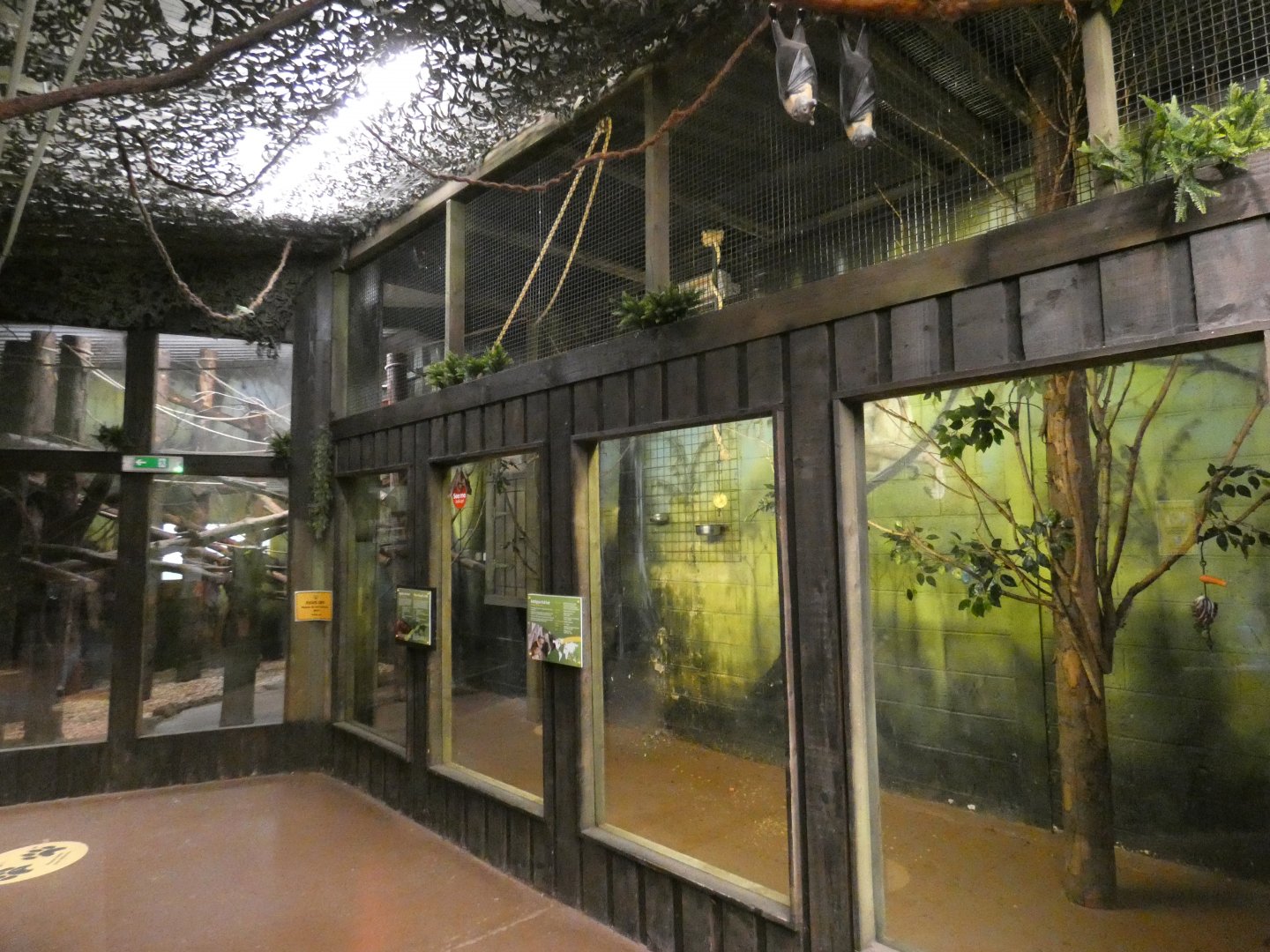 Fruit bat and Night monkey enclosure