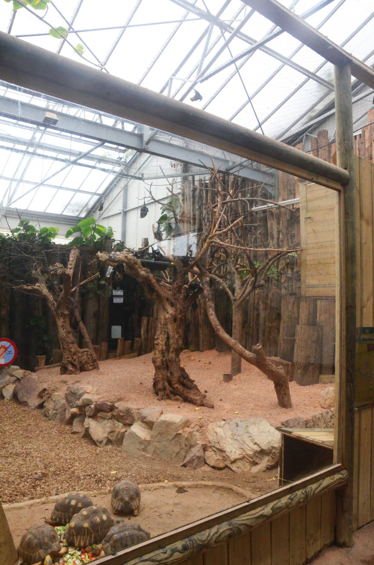 Fruit Bat and Tortoise Enclosure at CERZA, 10/06/18