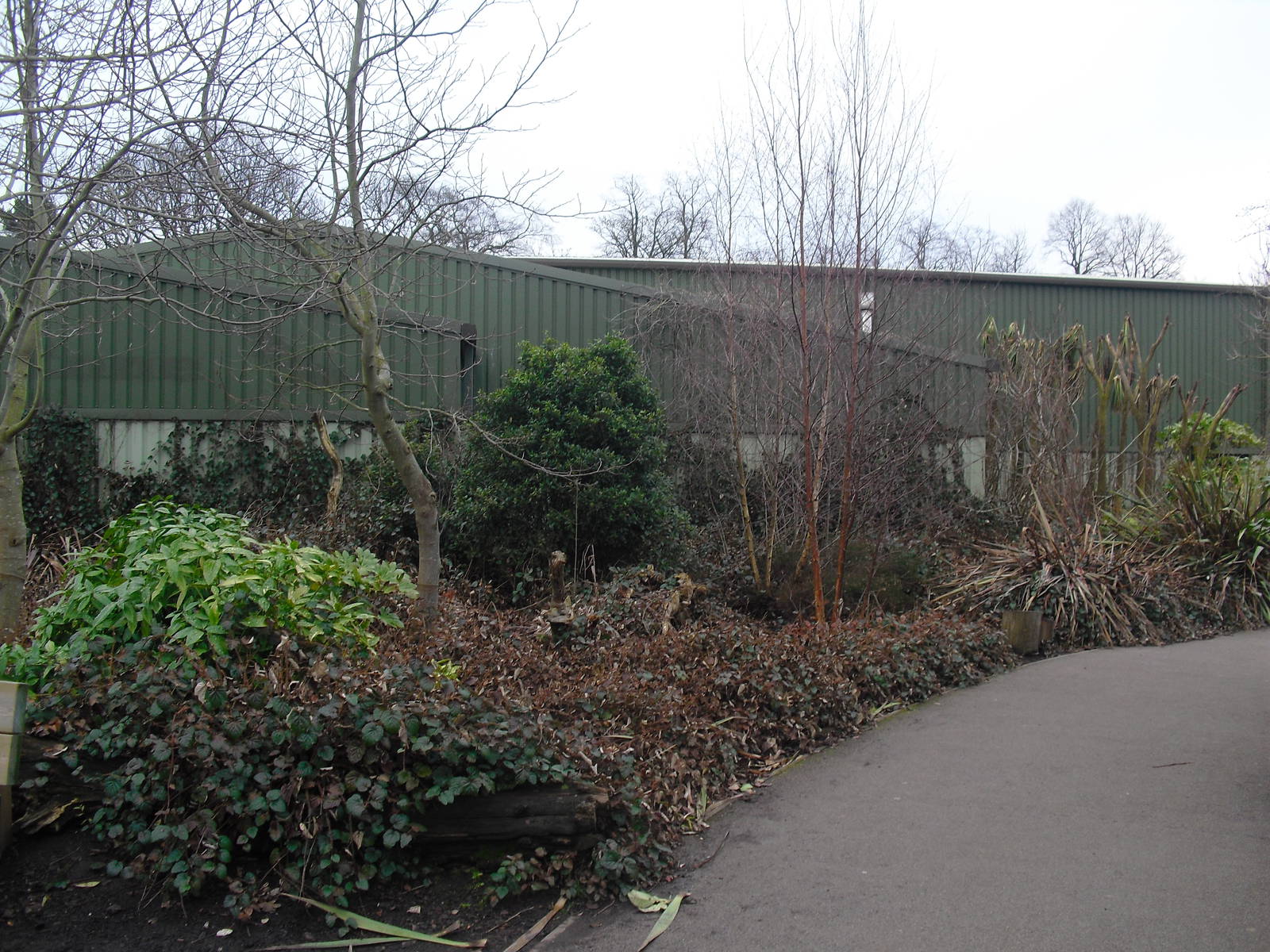 Fruit Bat Forest Building - 16/02/2011
