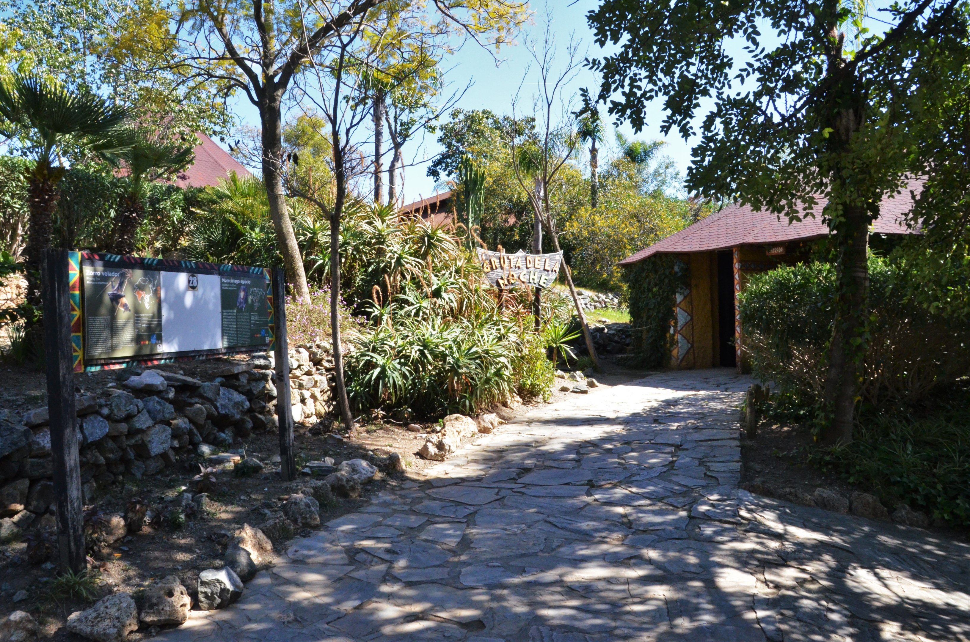 Fruit Bat/Reptile House Approach at Selwo Aventura, 13/03/19