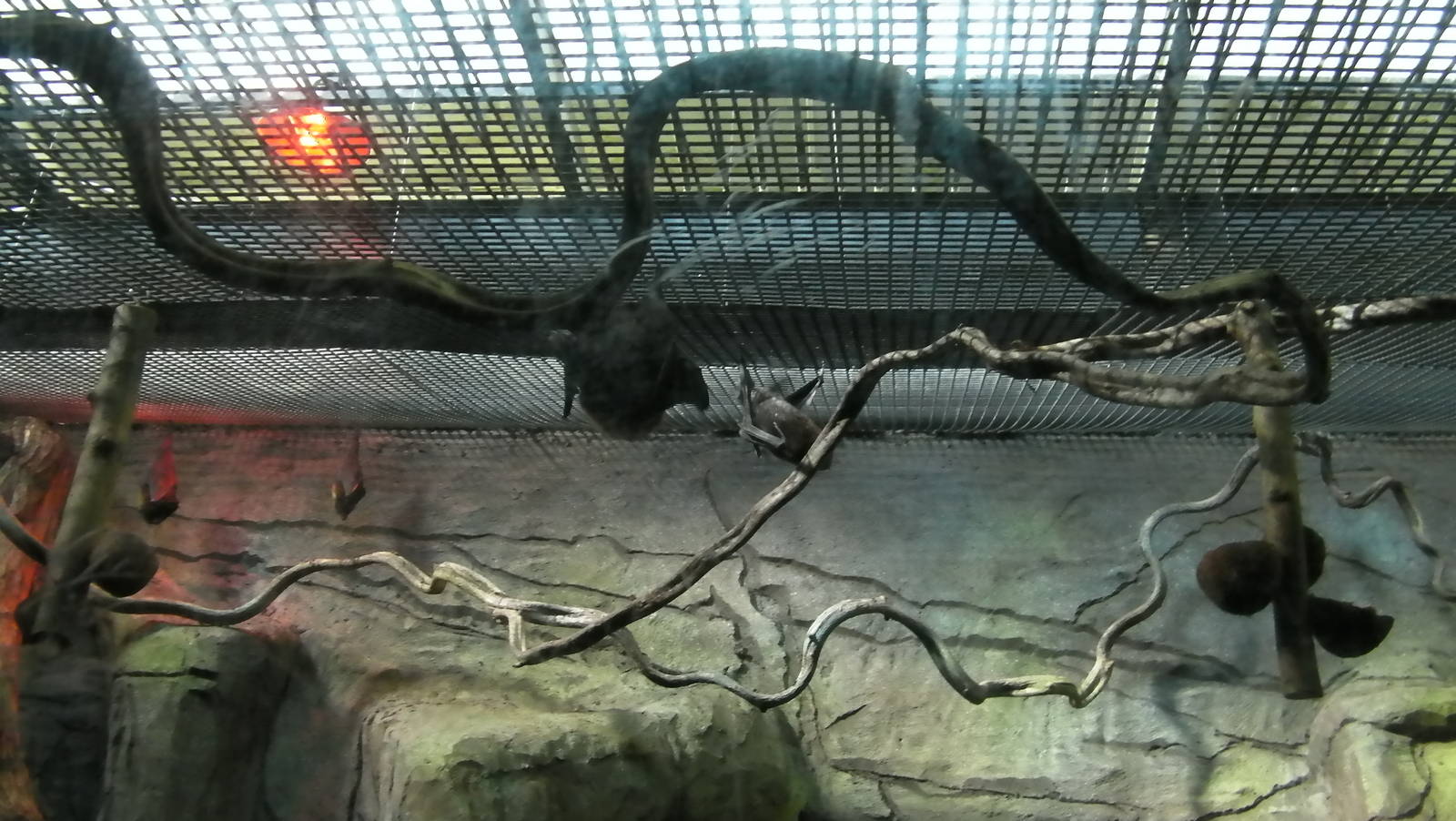 Fruit Bats - 24.03.2012