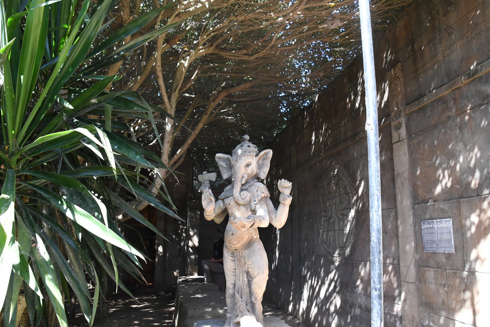 Fruit-Bats Aviary decoration