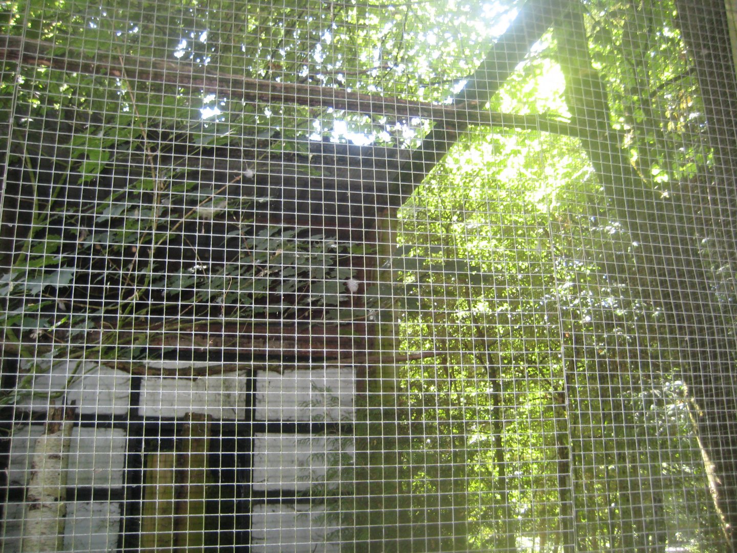 Frydenlund Fuglepark - Brown wood owl aviary