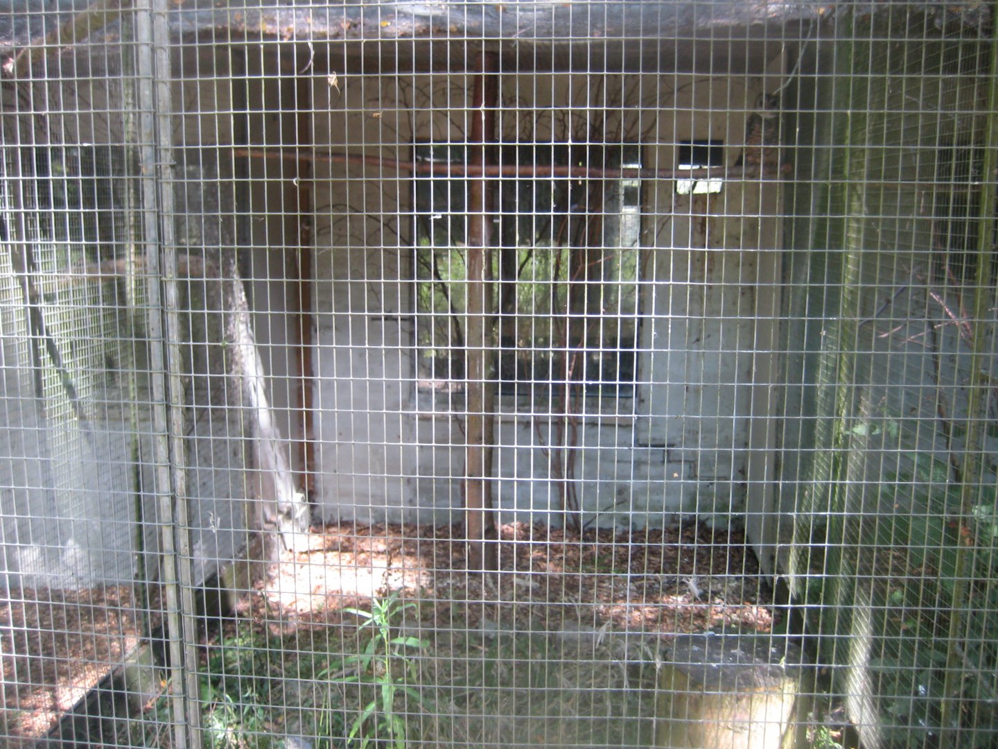 Frydenlund Fuglepark - Chaco owl aviary