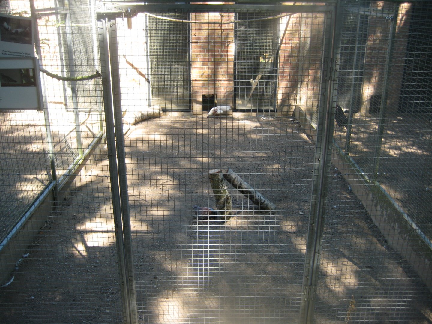 Frydenlund Fuglepark - Chicken aviary #2