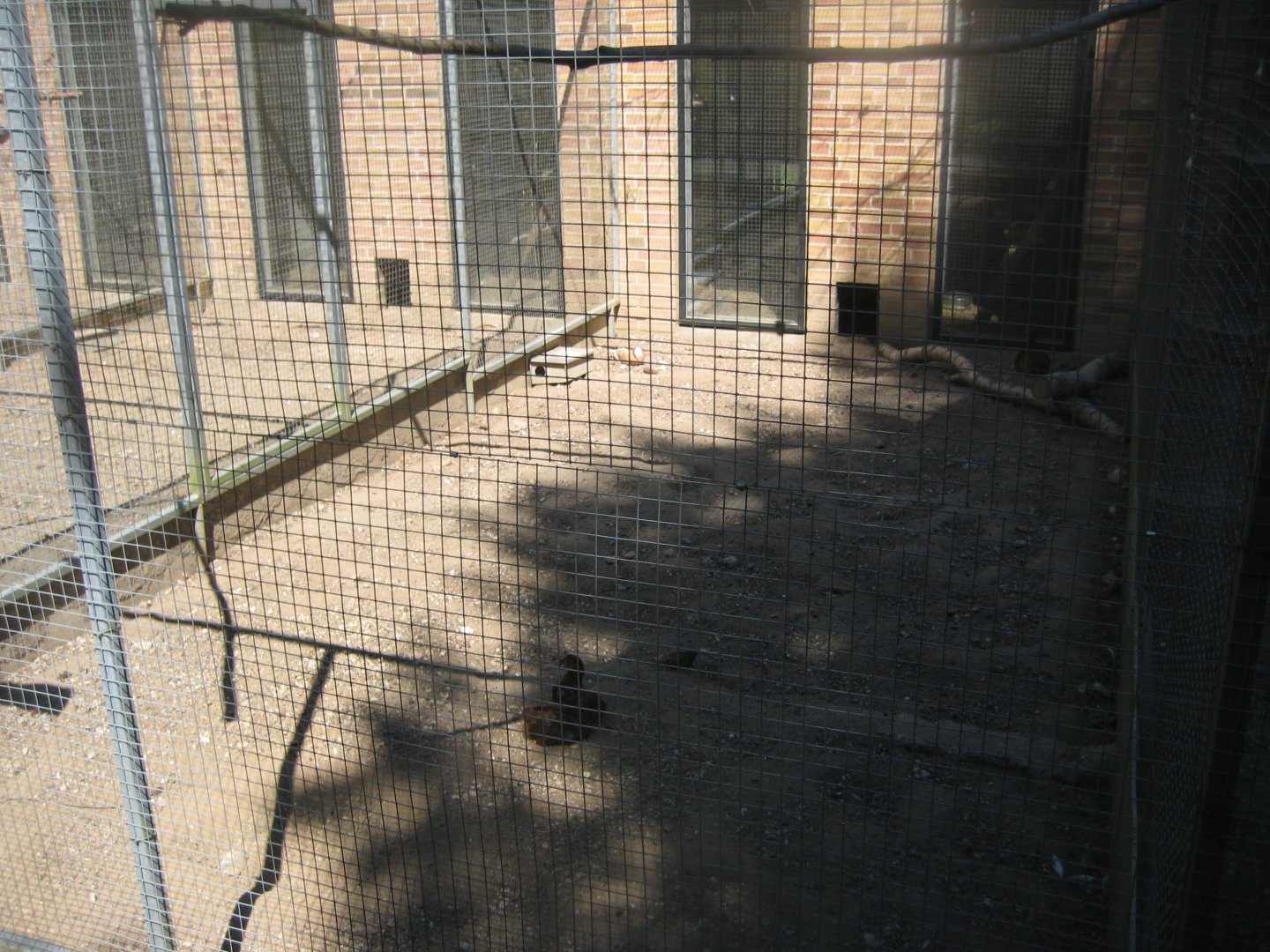 Frydenlund Fuglepark - Chicken aviary #3