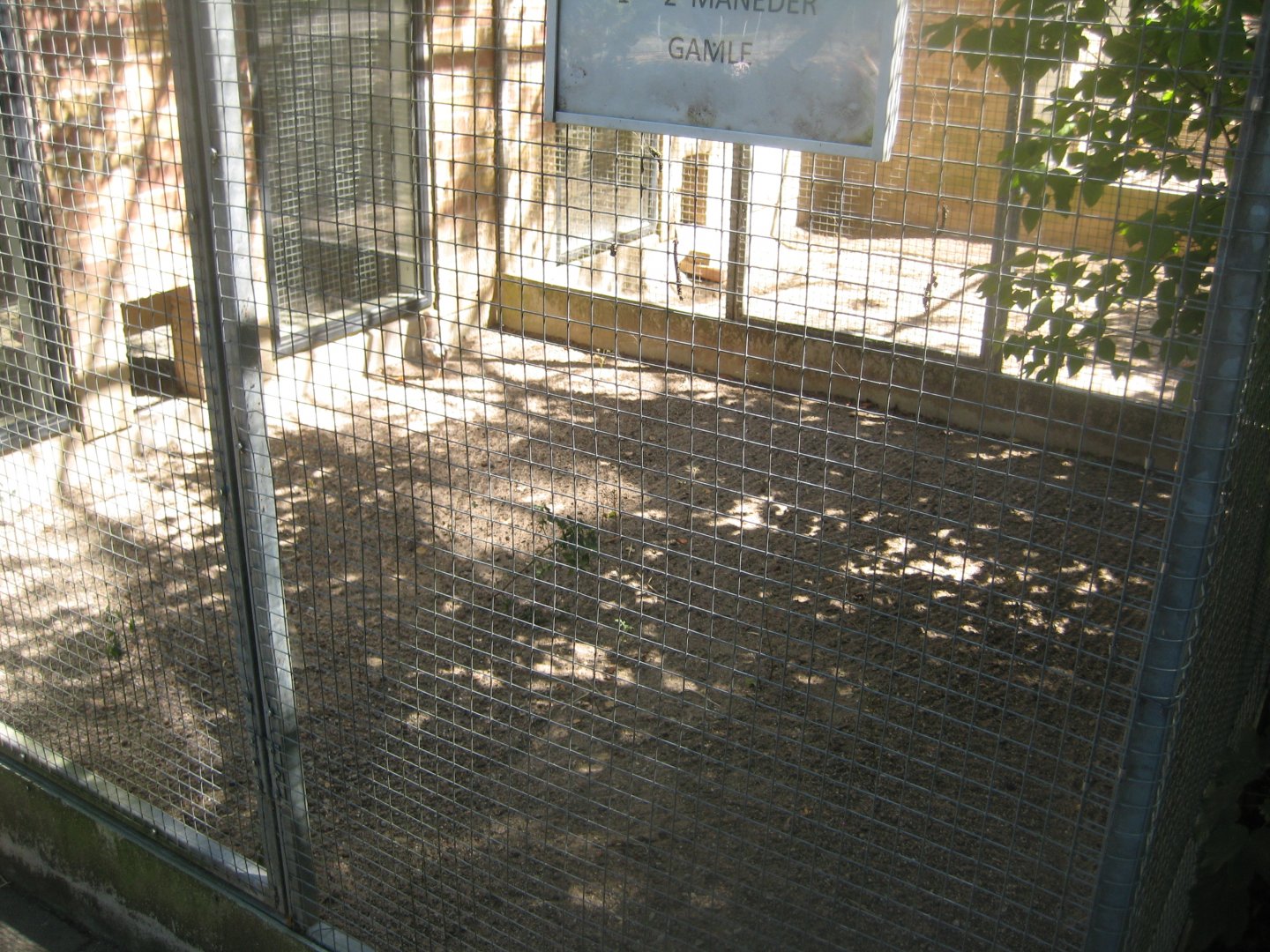 Frydenlund Fuglepark - Chicken aviary #6