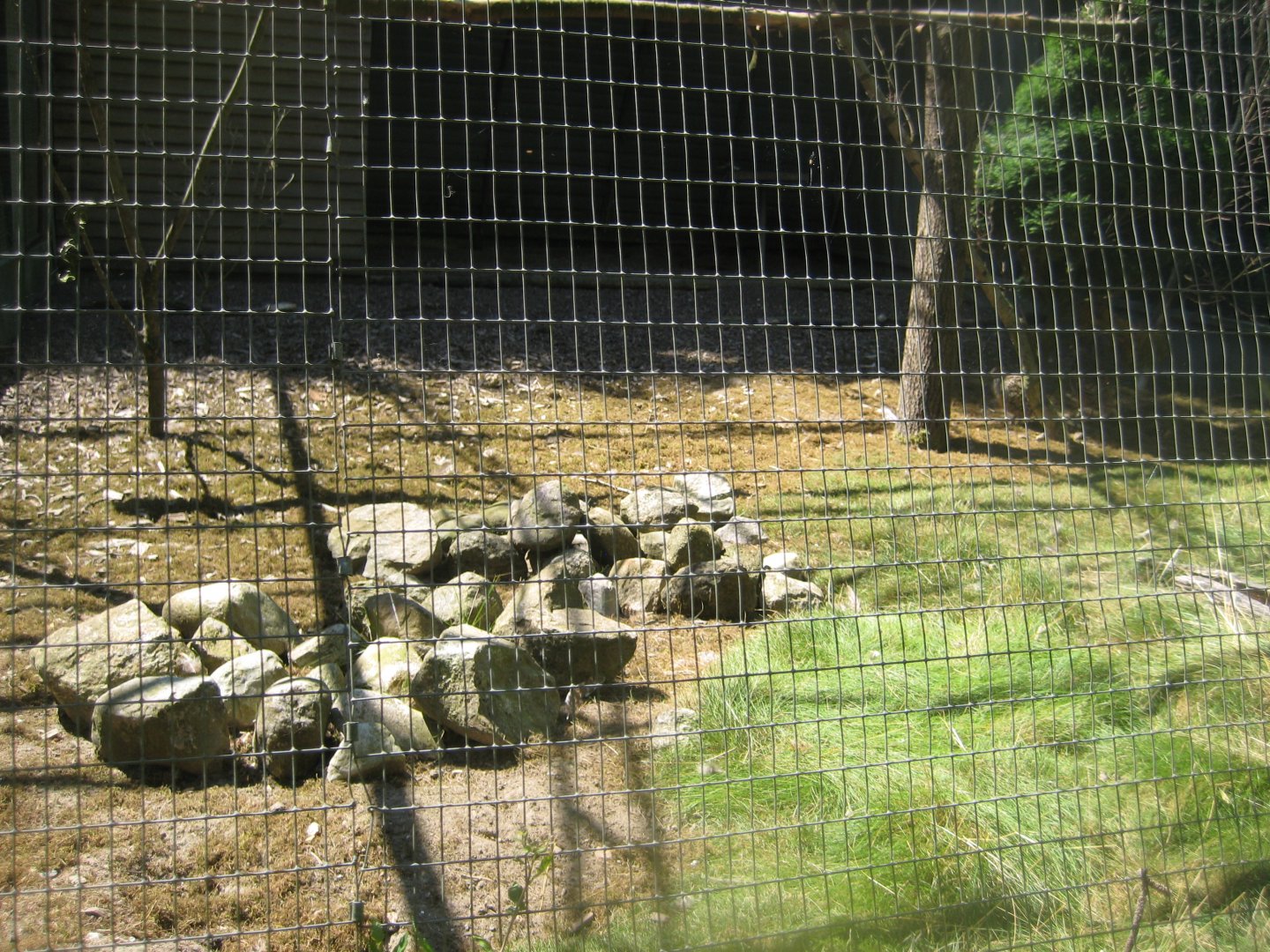 Frydenlund Fuglepark - Cockatiel/pheasant aviary