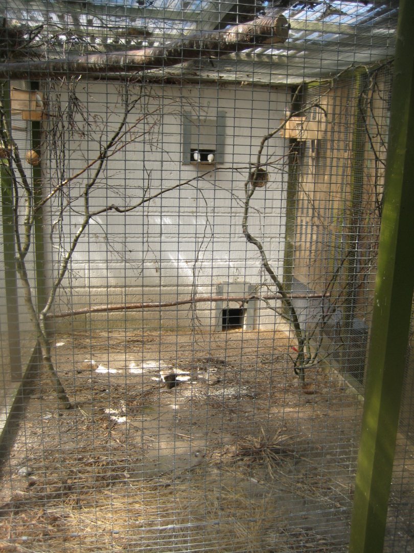 Frydenlund Fuglepark - Dove aviary