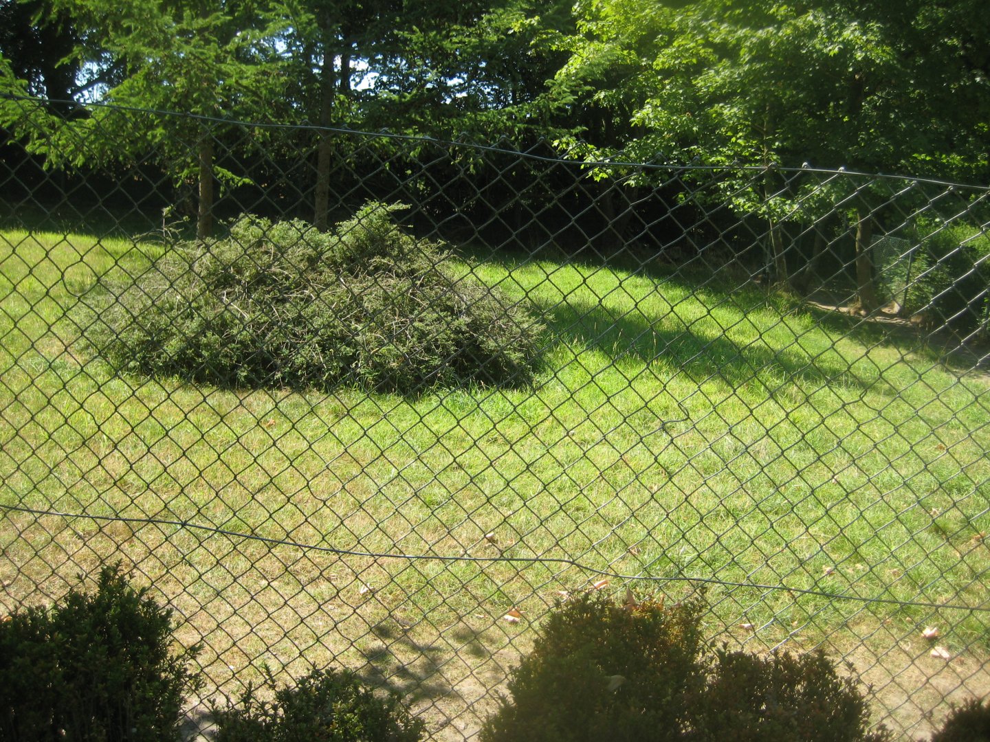 Frydenlund Fuglepark - Emu exhibit