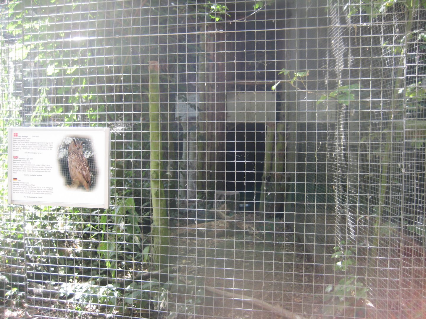 Frydenlund Fuglepark - Eurasian eagle owl aviary