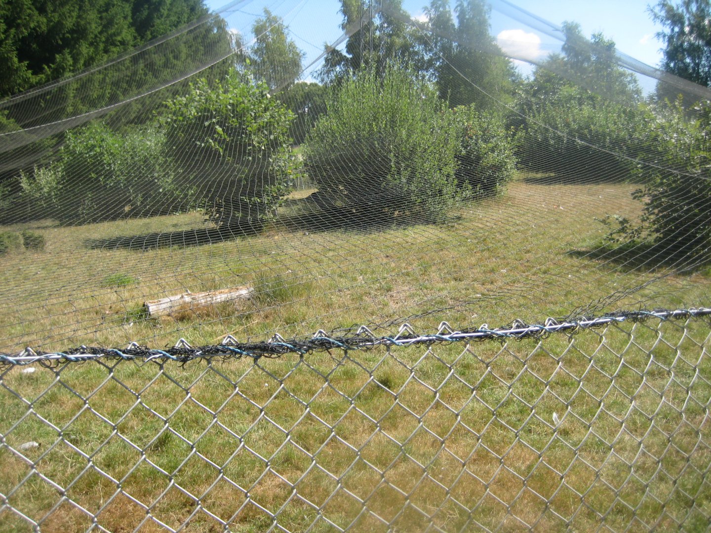 Frydenlund Fuglepark - Free-flight aviary #1