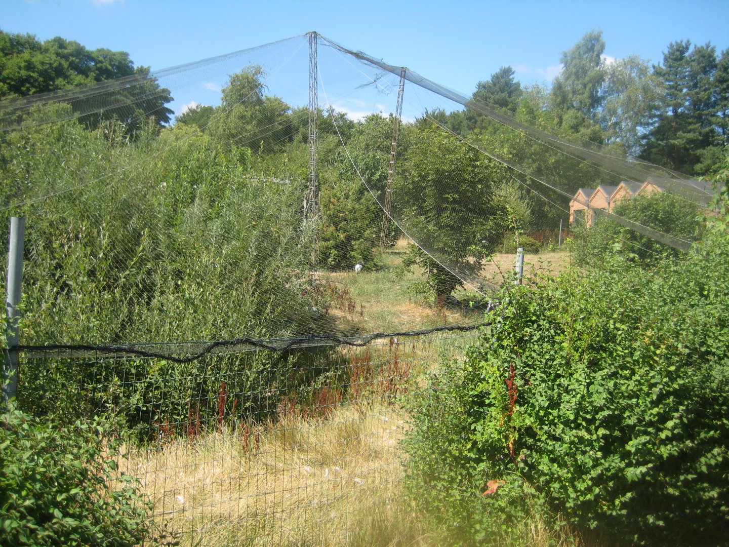 Frydenlund Fuglepark - Free-flight aviary #2