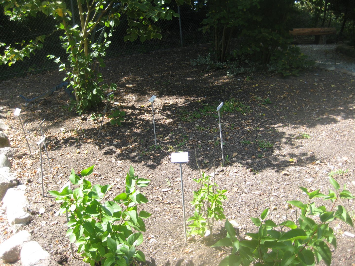 Frydenlund Fuglepark - "Garden of senses"