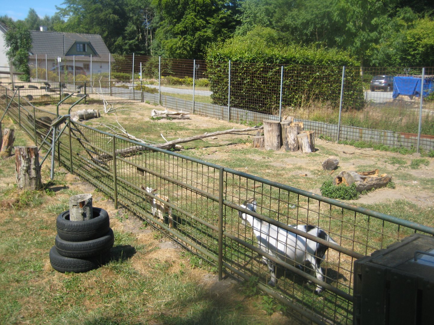 Frydenlund Fuglepark - Goat exhibit