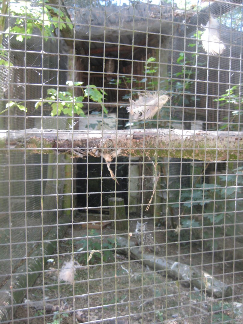 Frydenlund Fuglepark - Great horned owl aviary