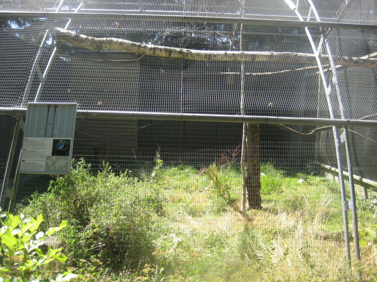 Frydenlund Fuglepark - Kookaburra/pheasant aviary