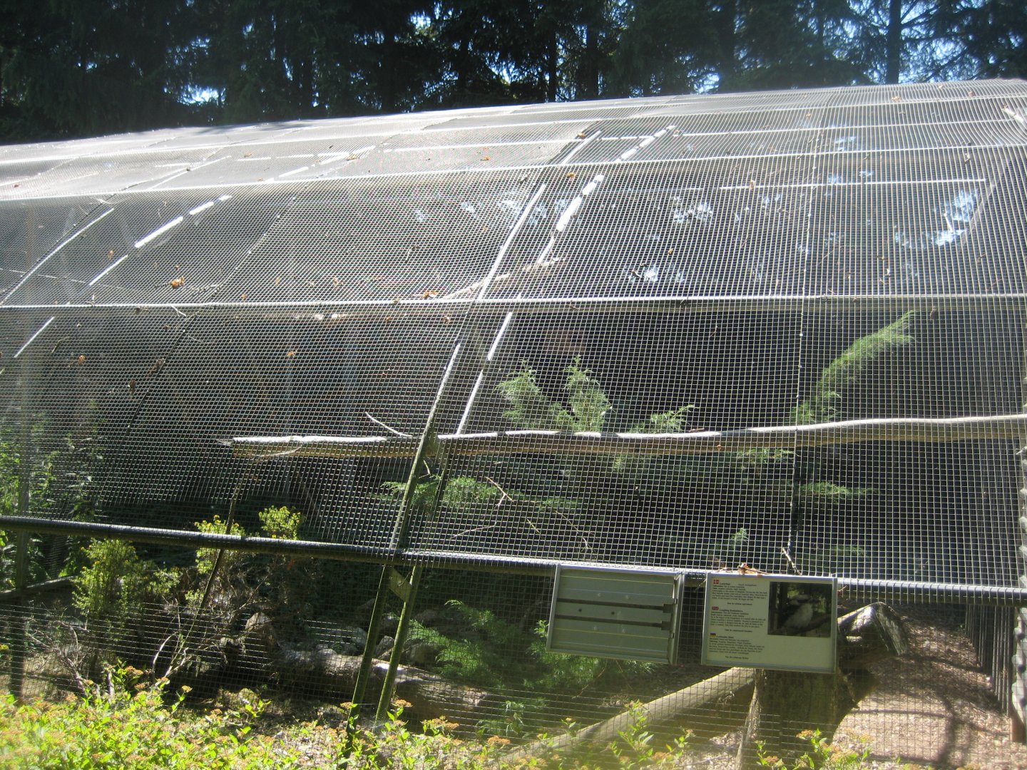 Frydenlund Fuglepark - Kookaburra/rosella aviary
