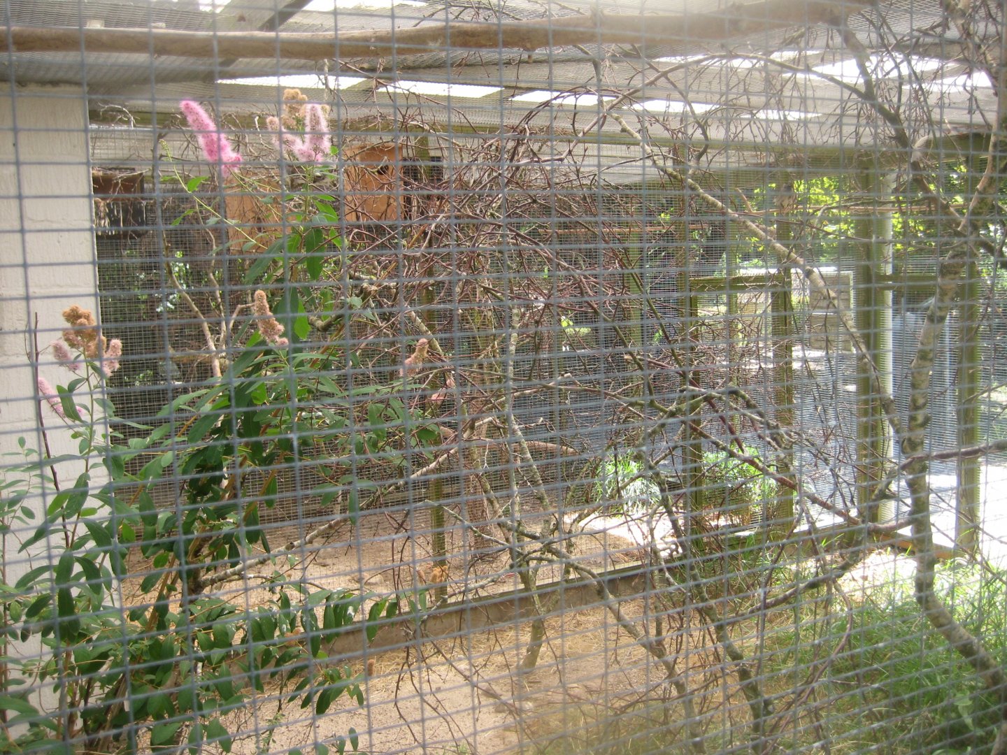 Frydenlund Fuglepark - Mixed aviary