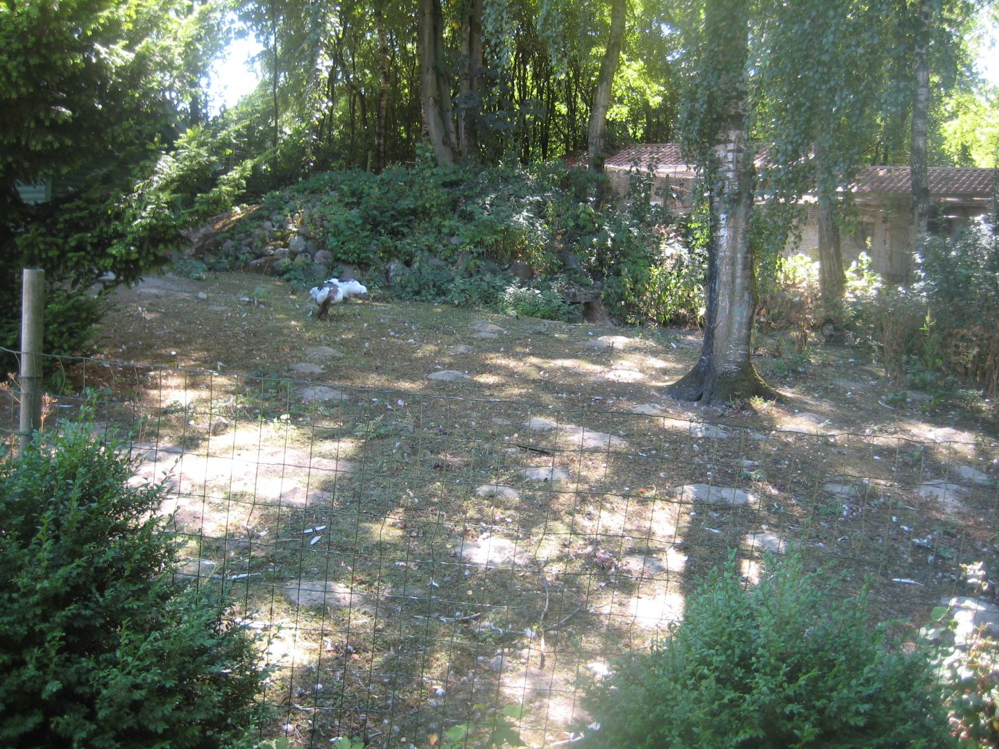 Frydenlund Fuglepark - Mixed waterfowl exhibit