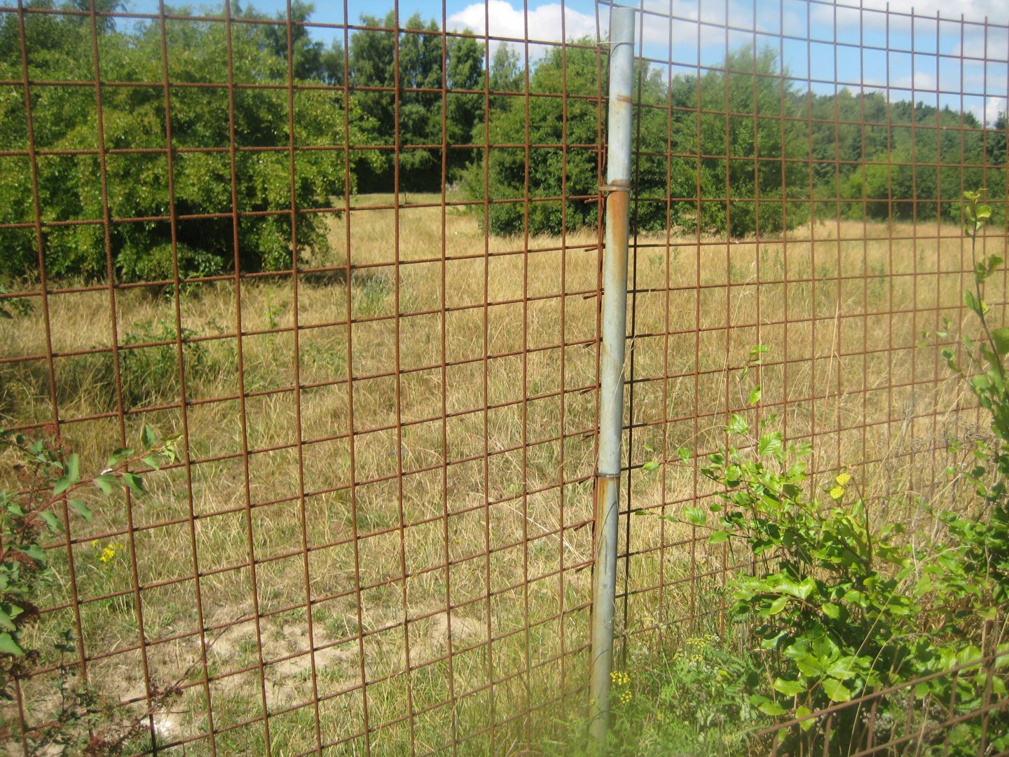 Frydenlund Fuglepark - Ostrich exhibit