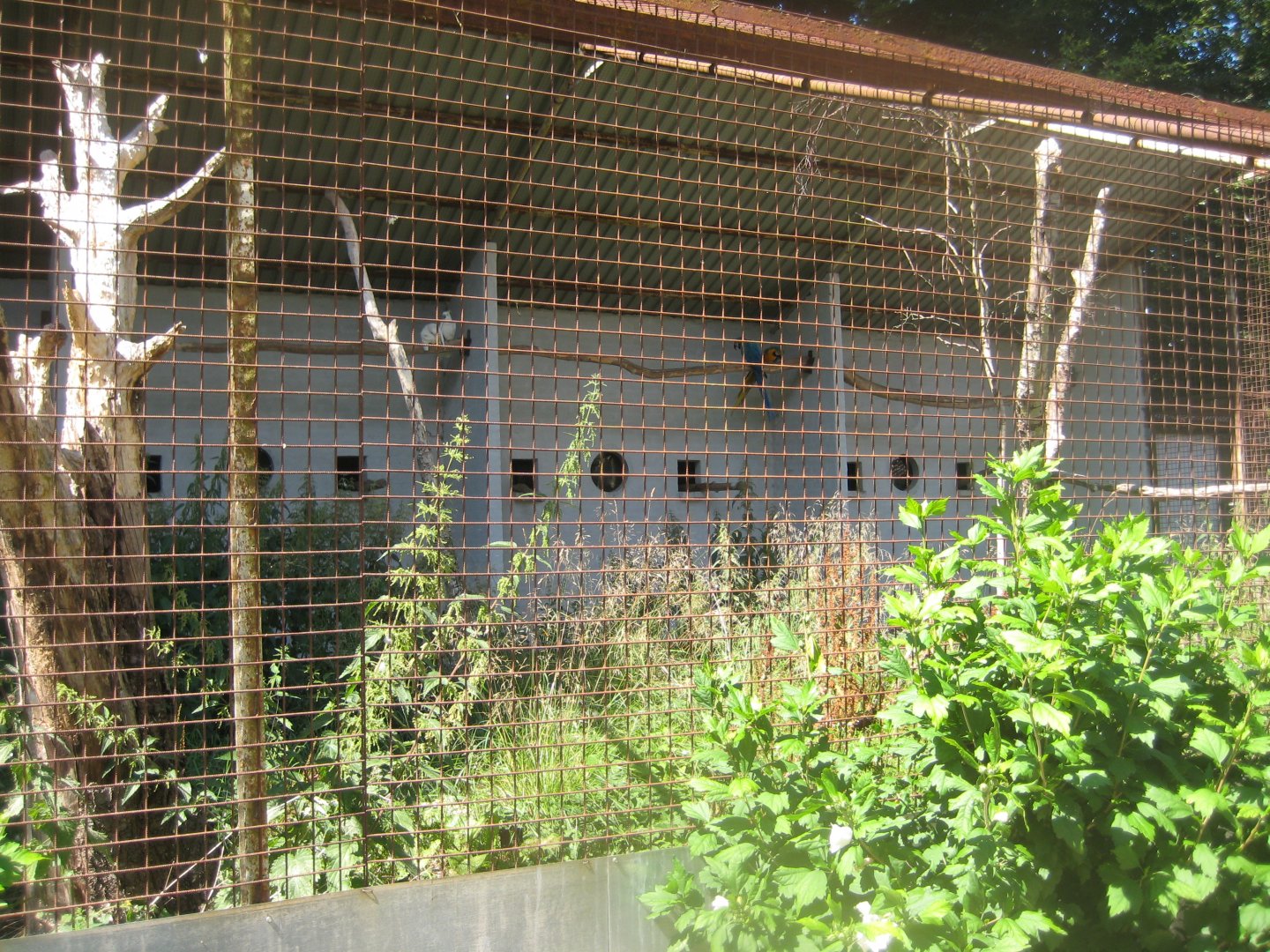 Frydenlund Fuglepark - Parrot aviary #1