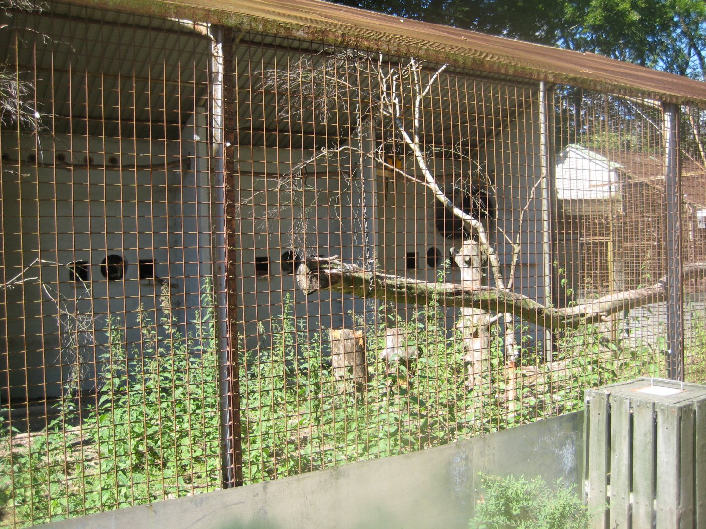 Frydenlund Fuglepark - Parrot aviary #11