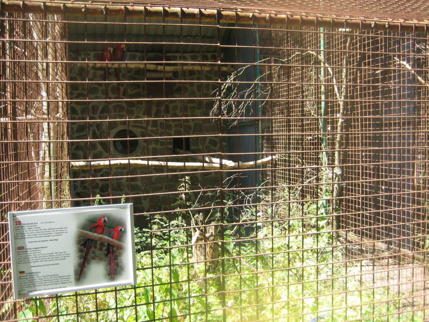 Frydenlund Fuglepark - Parrot aviary #12