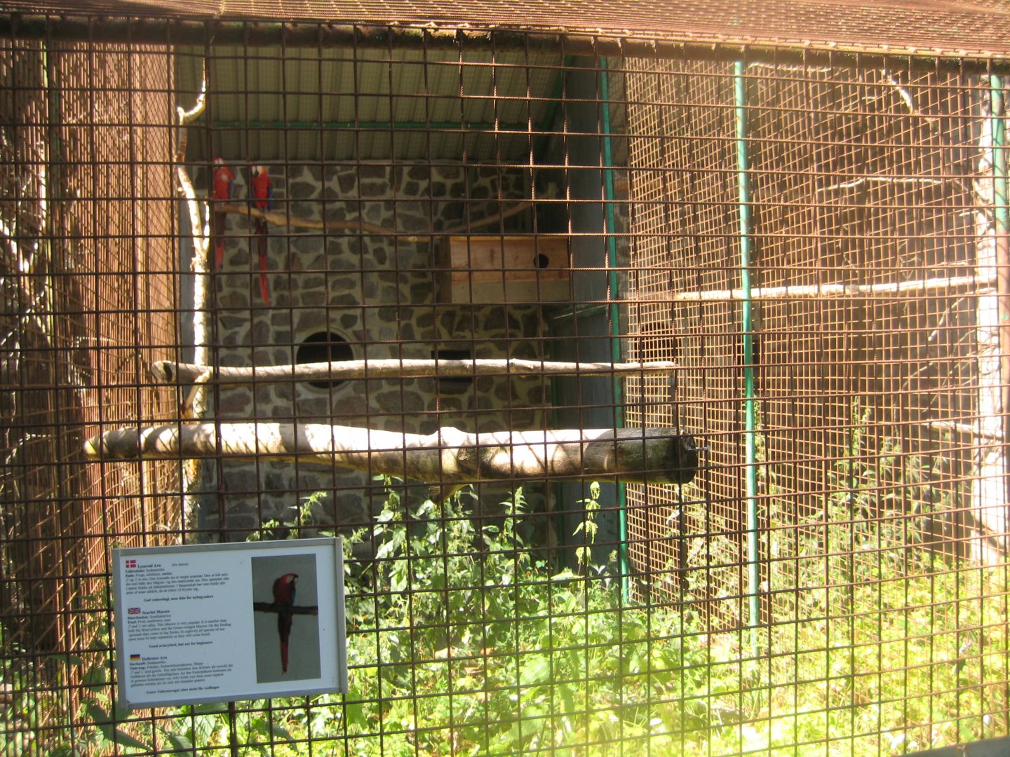 Frydenlund Fuglepark - Parrot aviary #13