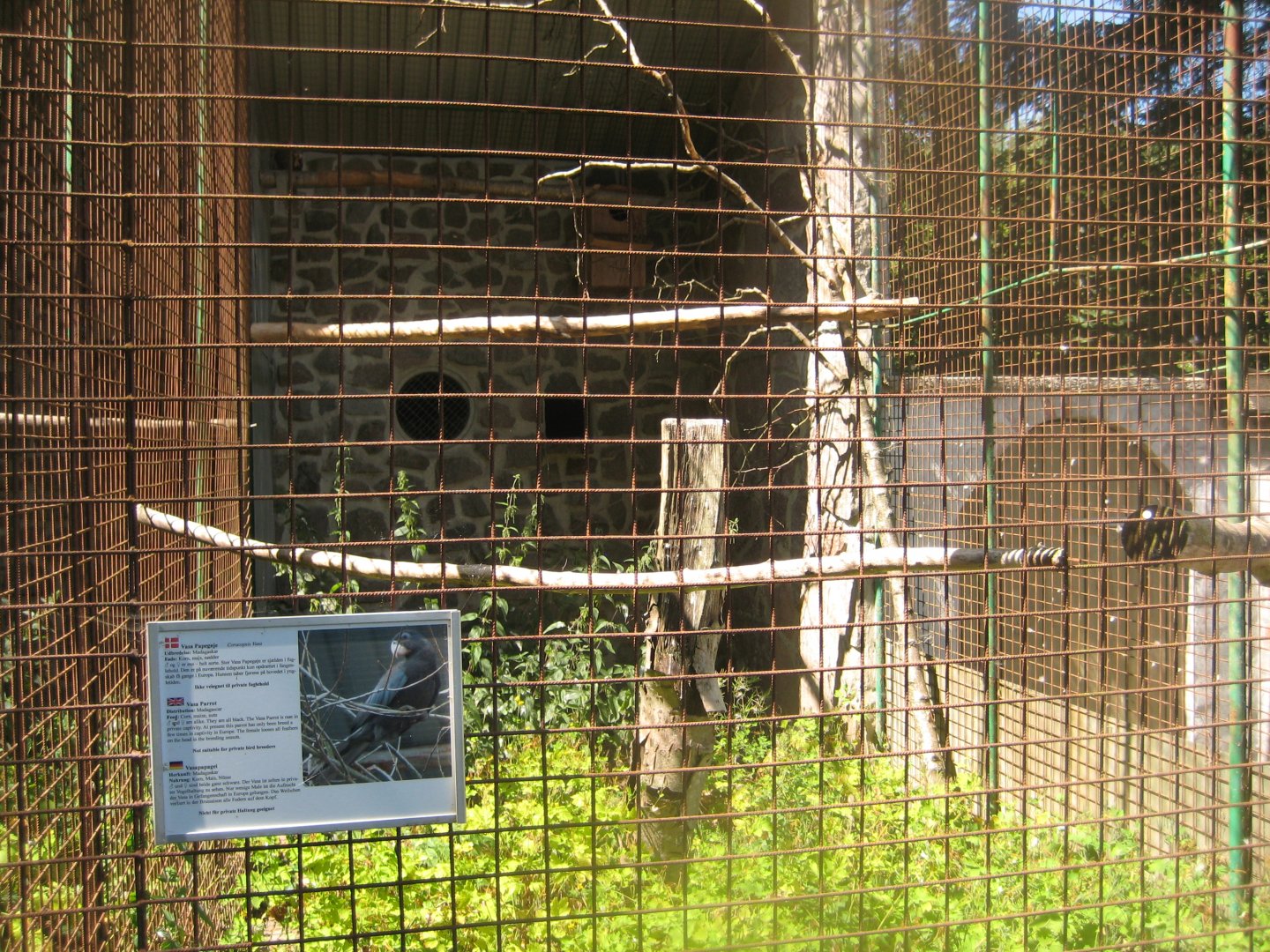 Frydenlund Fuglepark - Parrot aviary #14