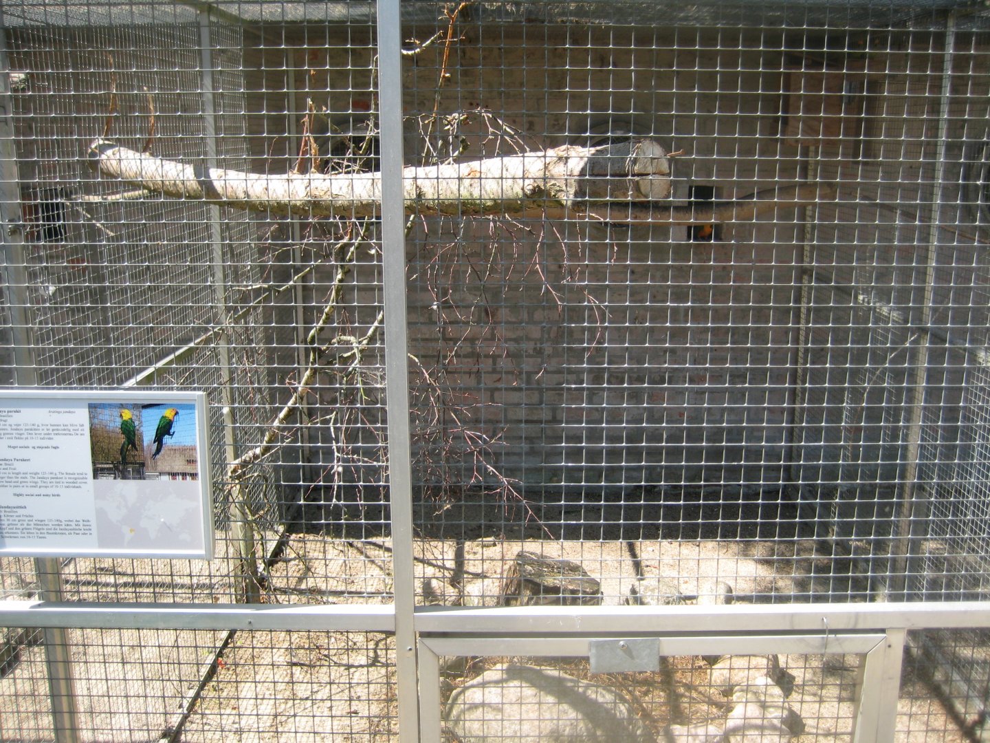 Frydenlund Fuglepark - Parrot aviary #15
