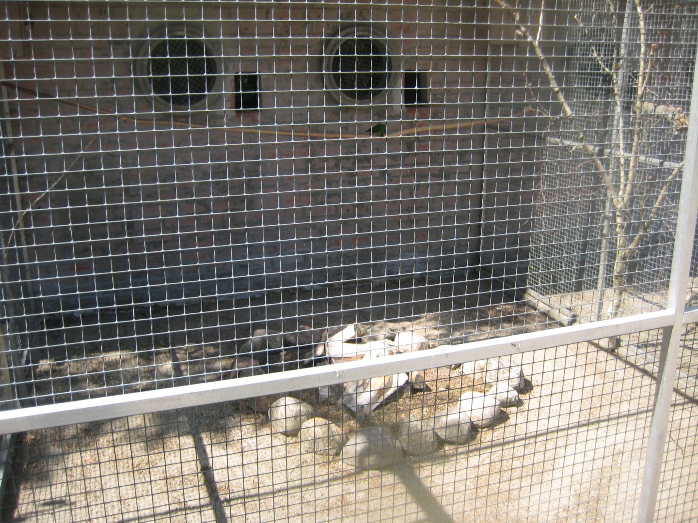 Frydenlund Fuglepark - Parrot aviary #16