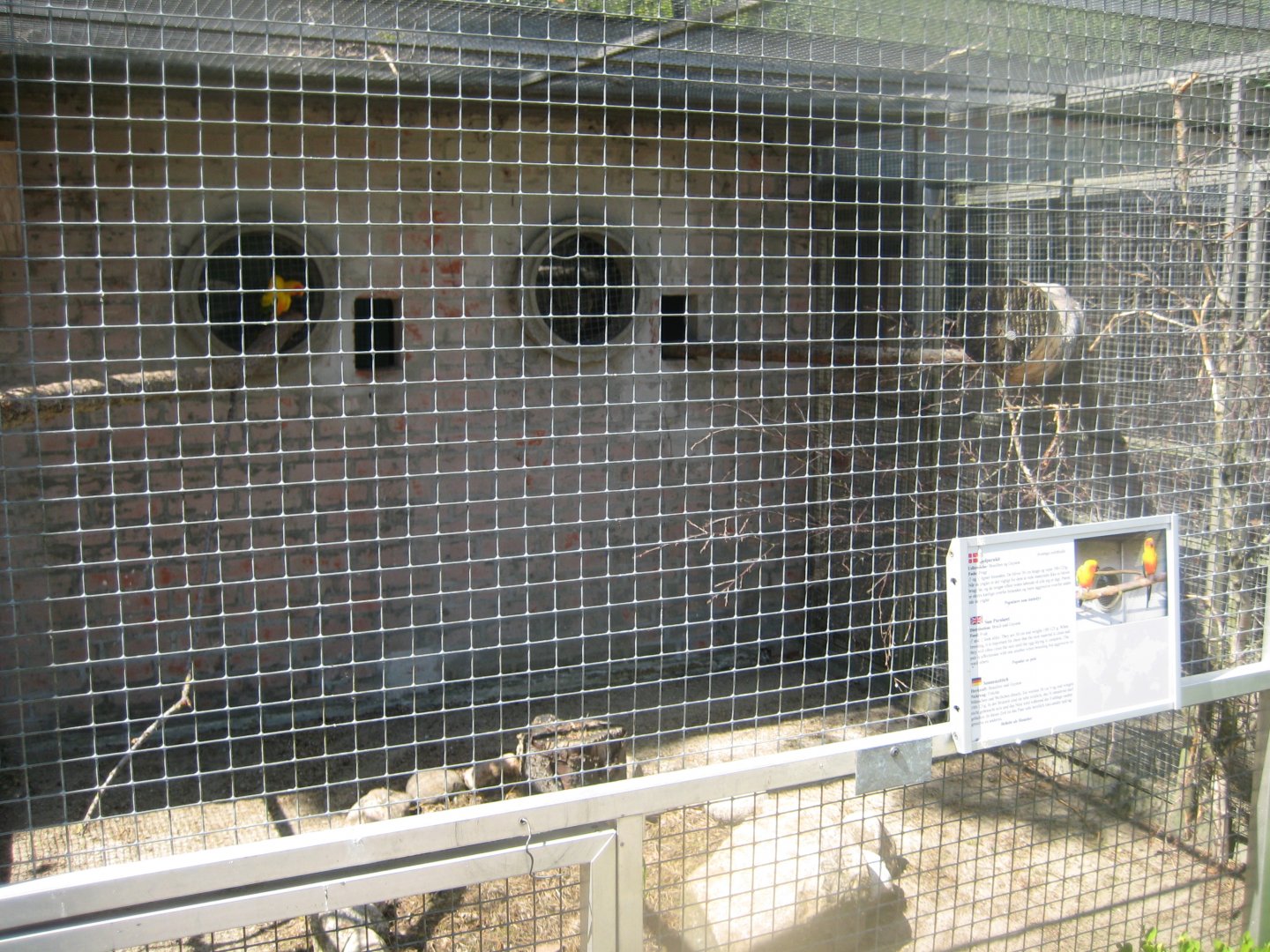 Frydenlund Fuglepark - Parrot aviary #17