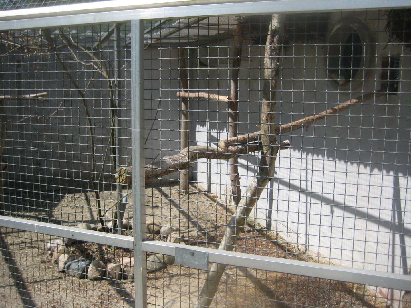 Frydenlund Fuglepark - Parrot aviary #18