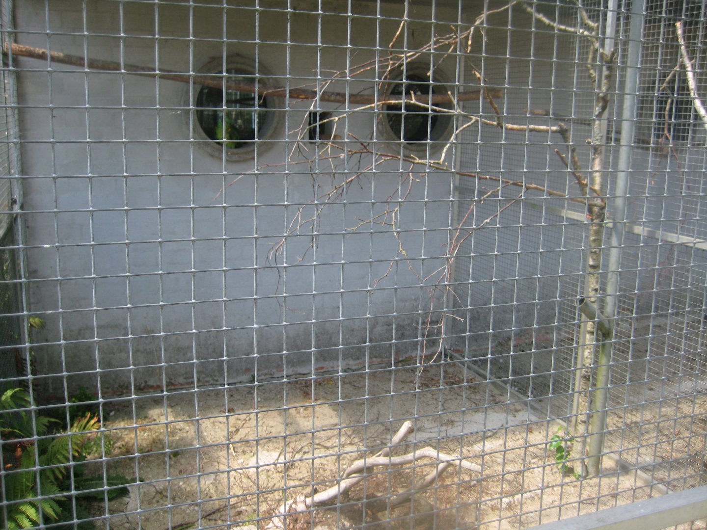 Frydenlund Fuglepark - Parrot aviary #19