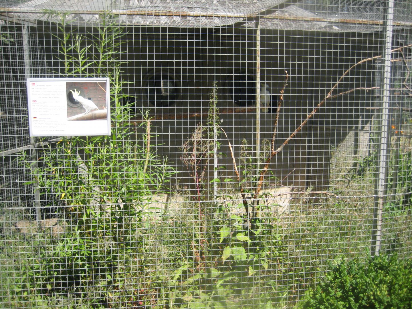 Frydenlund Fuglepark - Parrot aviary #2