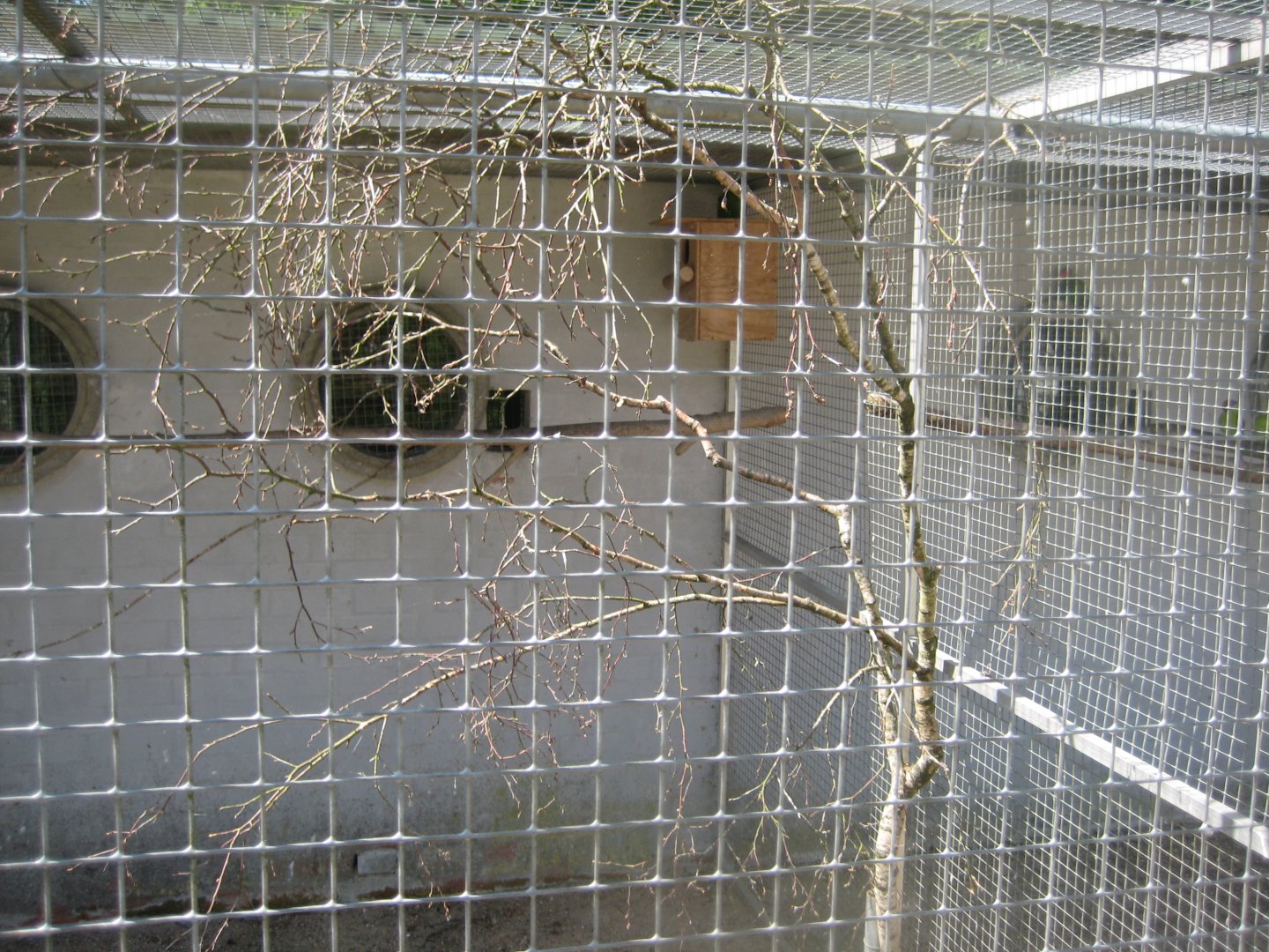 Frydenlund Fuglepark - Parrot aviary #20