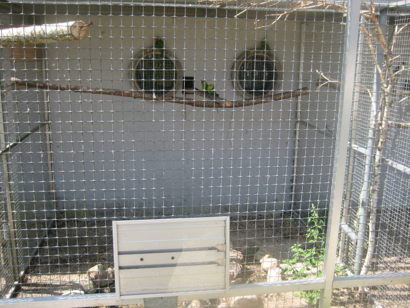 Frydenlund Fuglepark - Parrot aviary #21
