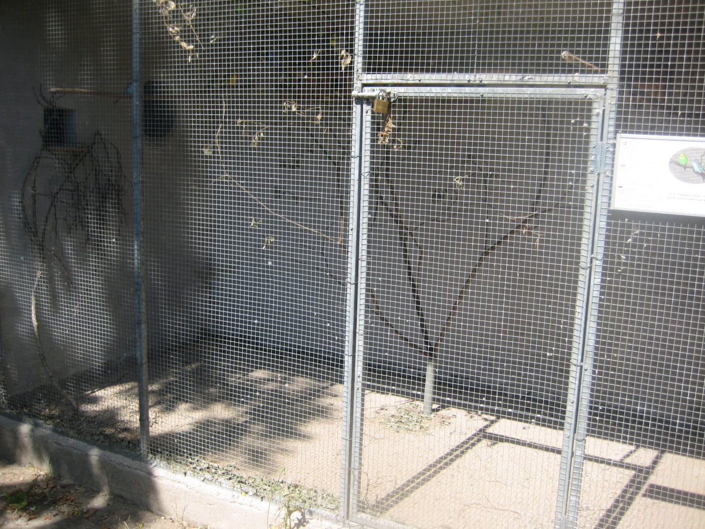 Frydenlund Fuglepark - Parrot aviary #23