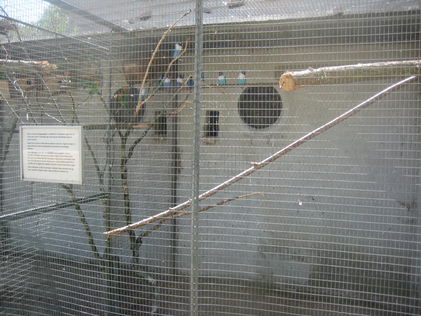 Frydenlund Fuglepark - Parrot aviary #24