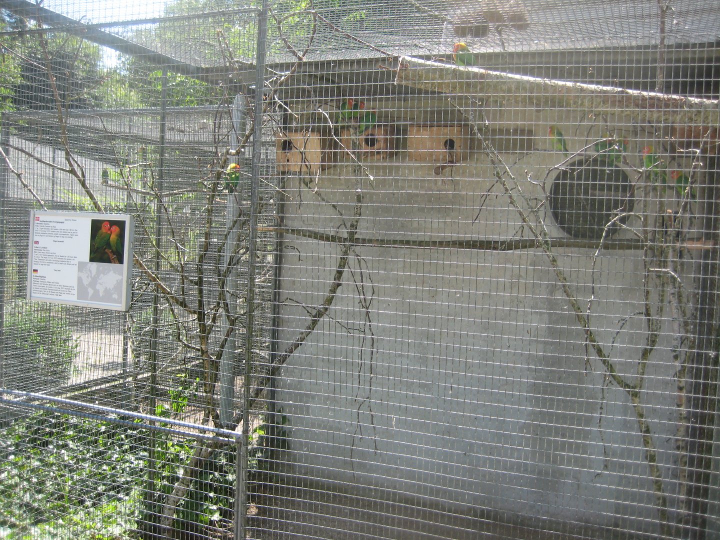 Frydenlund Fuglepark - Parrot aviary #25