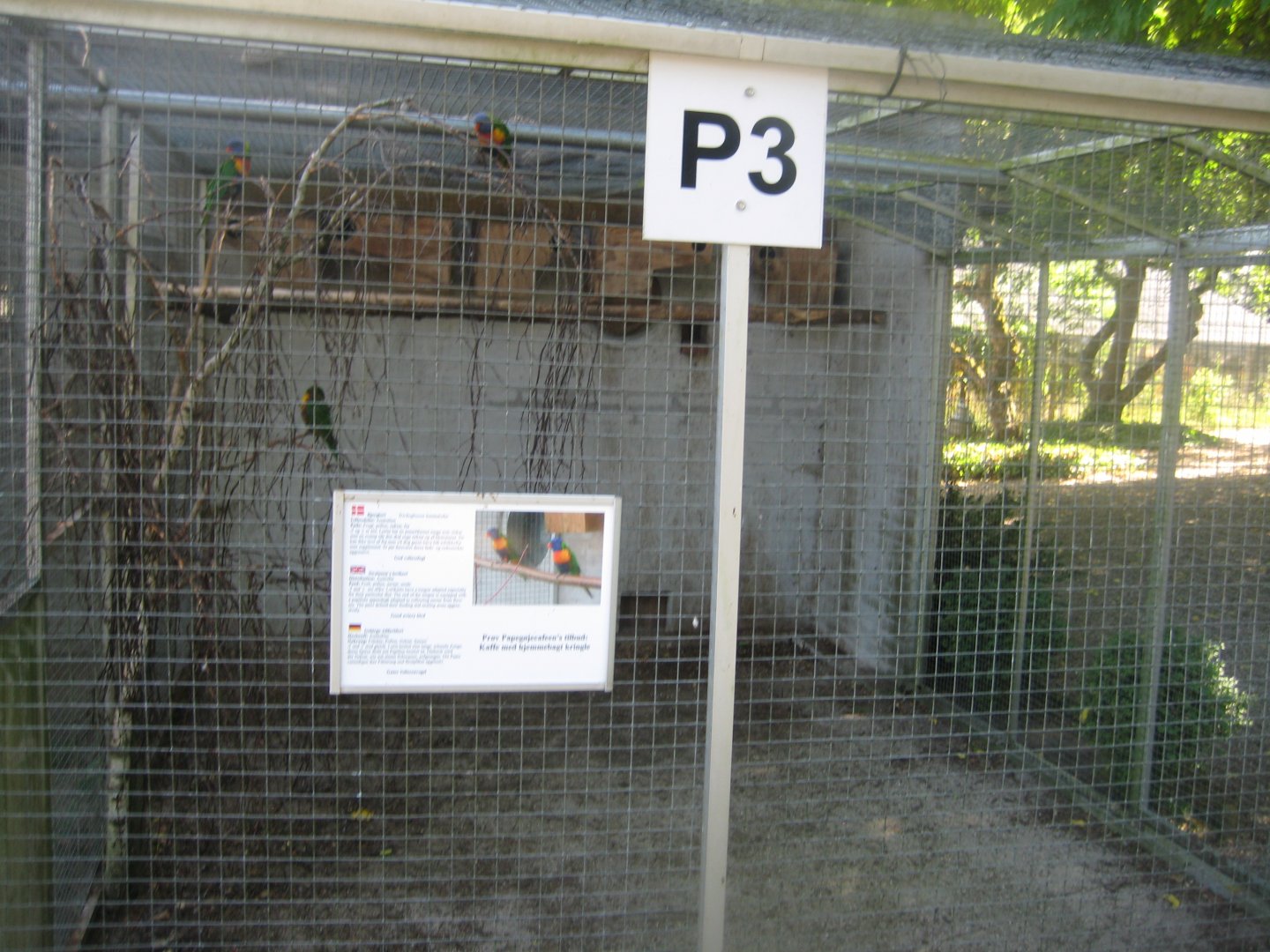Frydenlund Fuglepark - Parrot aviary #26