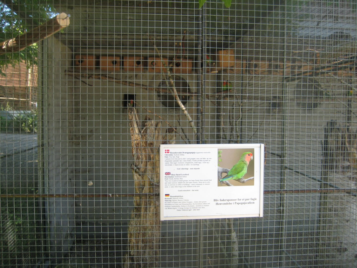 Frydenlund Fuglepark - Parrot aviary #27