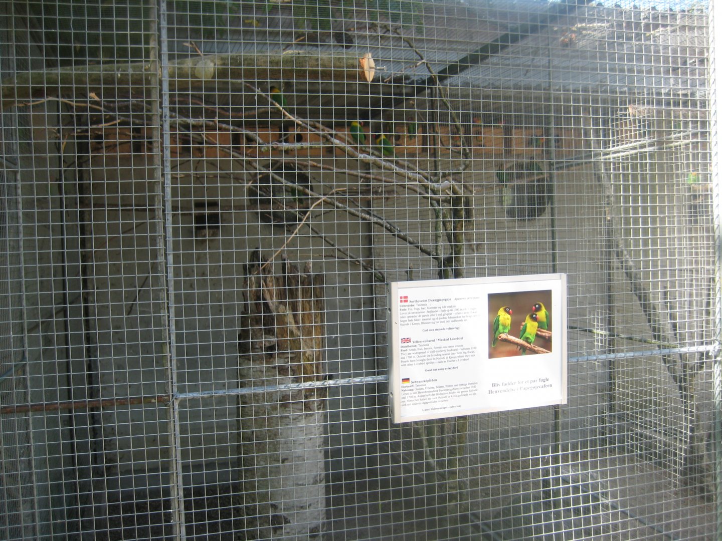 Frydenlund Fuglepark - Parrot aviary #28