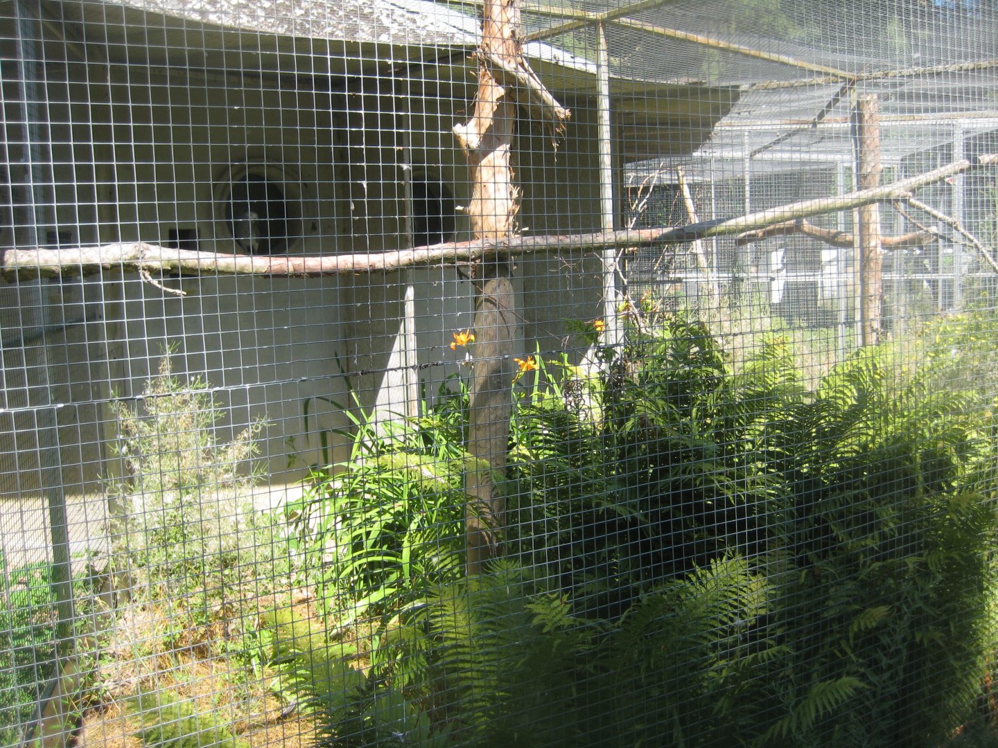 Frydenlund Fuglepark - Parrot aviary #3