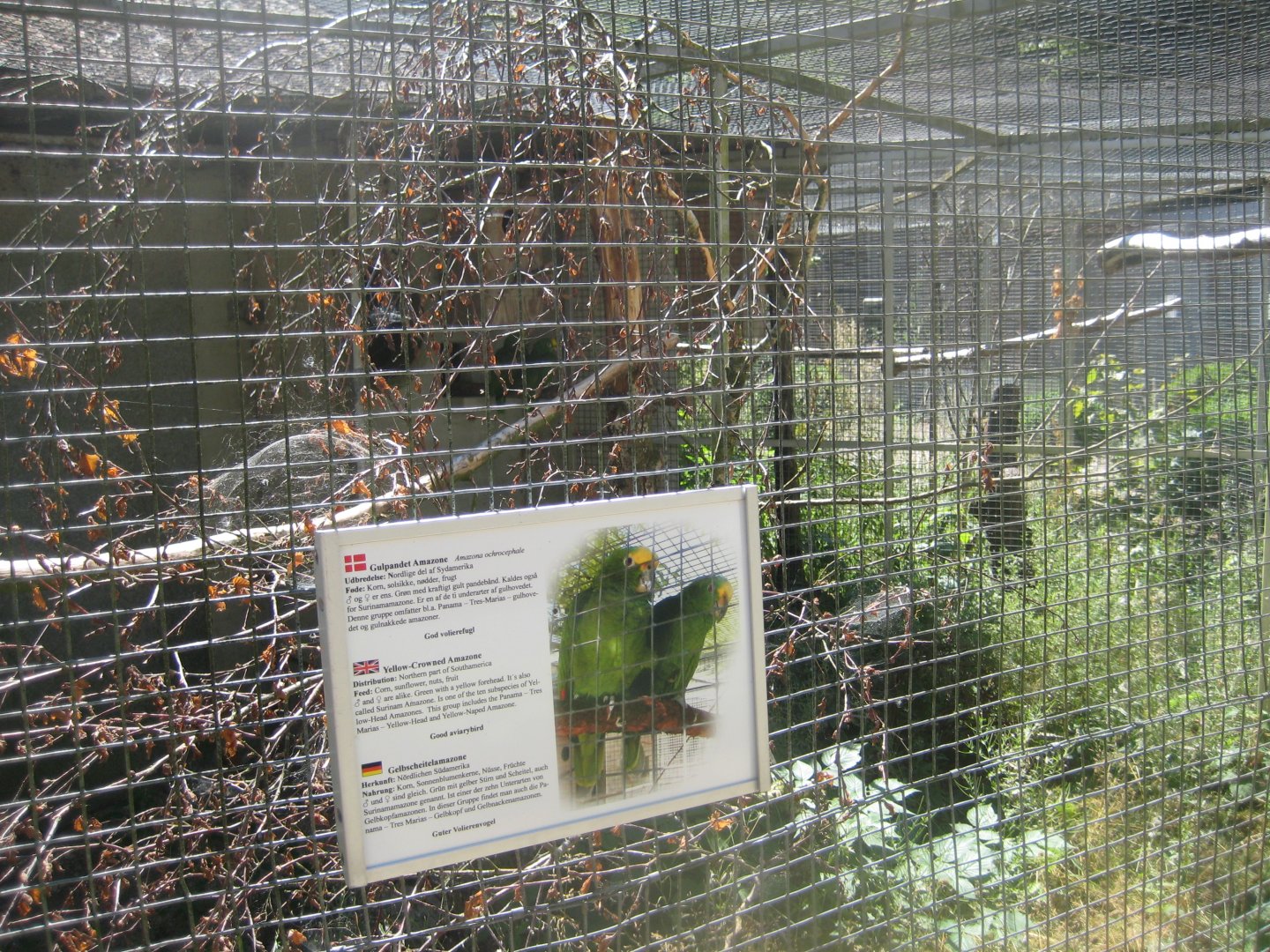 Frydenlund Fuglepark - Parrot aviary #5