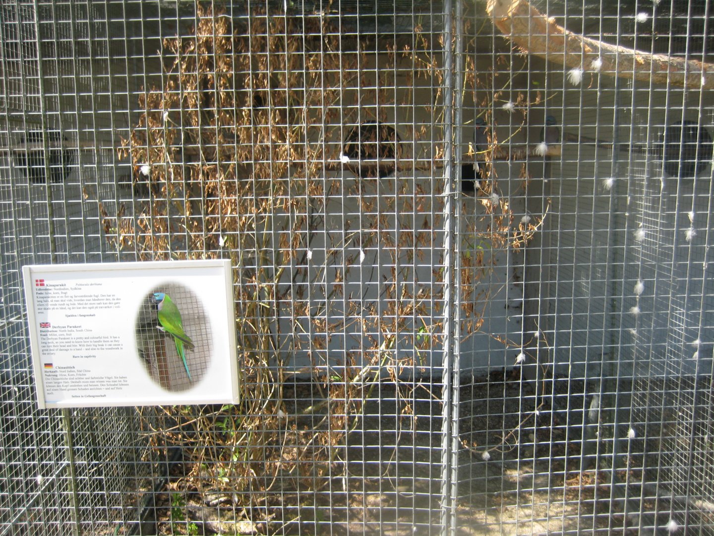 Frydenlund Fuglepark - Parrot aviary #6