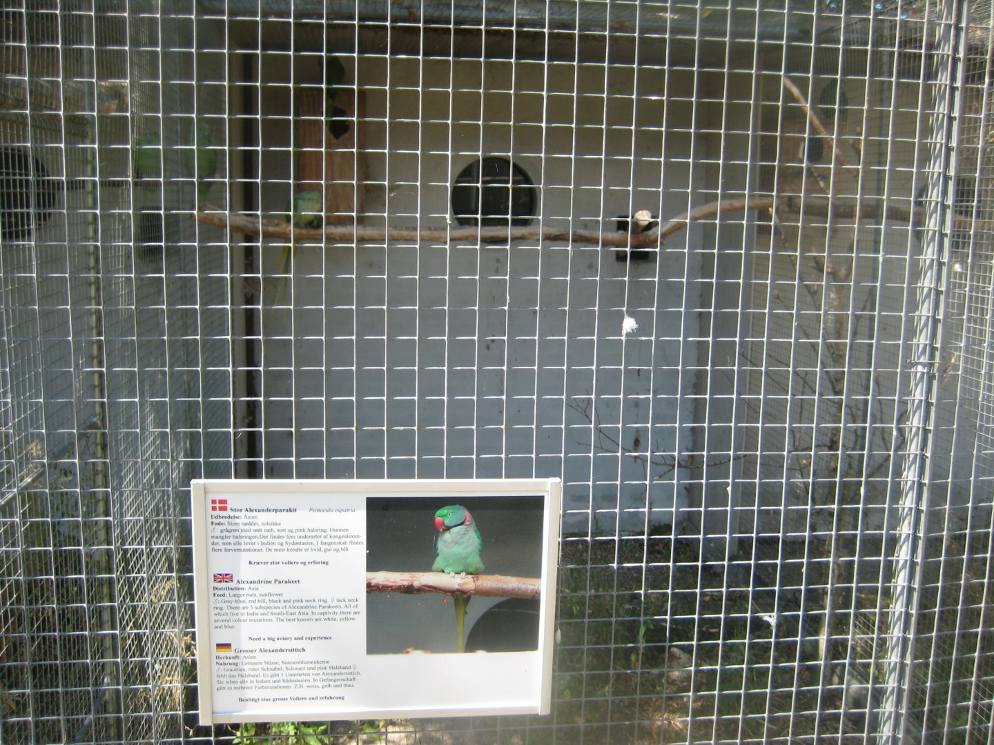 Frydenlund Fuglepark - Parrot aviary #8