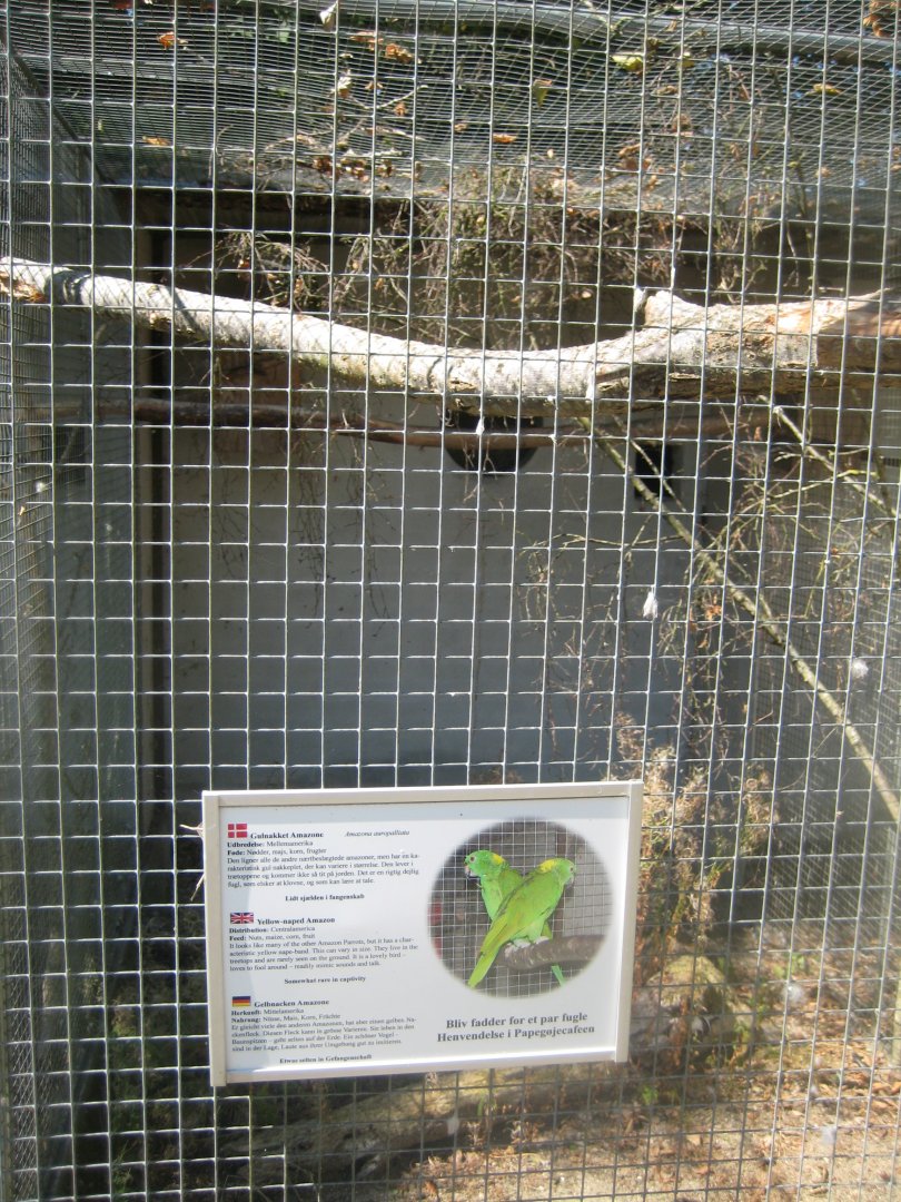 Frydenlund Fuglepark - Parrot aviary #9