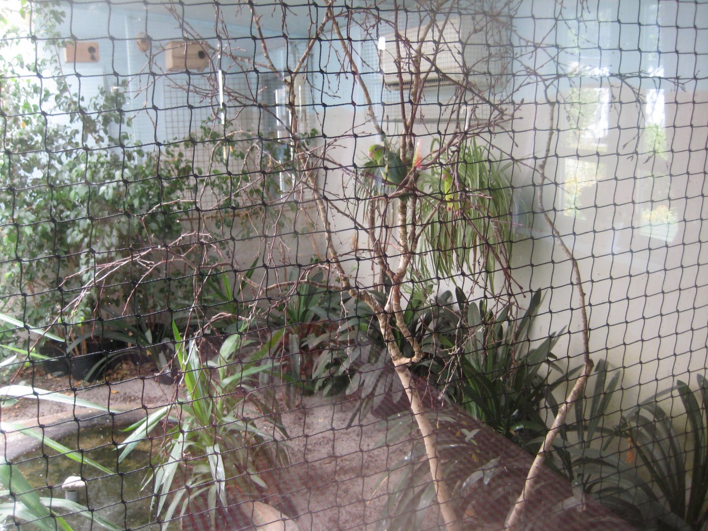 Frydenlund Fuglepark - Rainforest aviary